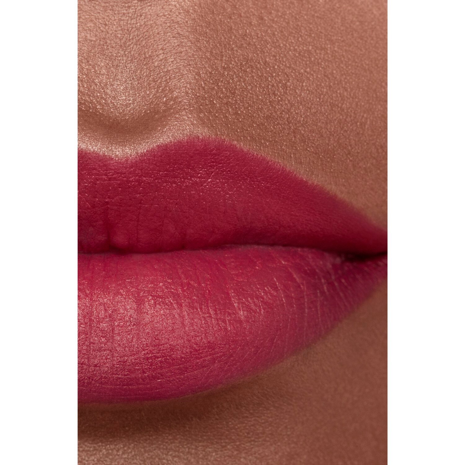 LA BARRA DE LABIOS ATERCIOPELADA LUMINOSA